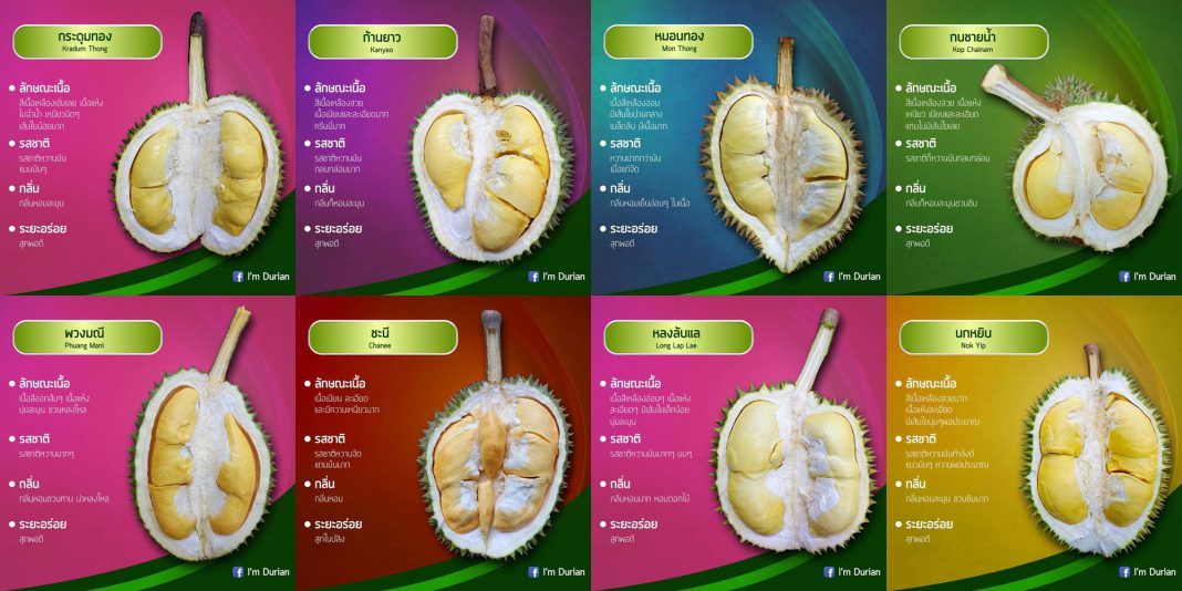 ทุเรียนรวม
