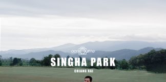 เที่ยว สิงห์ปาร์ค Singha Park (ไร่บุญรอด) เชียงราย กันแบบเต็มวัน