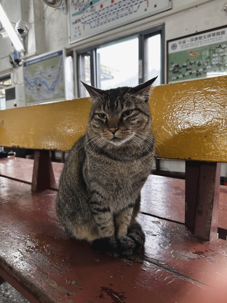 Houtong Cat Village 