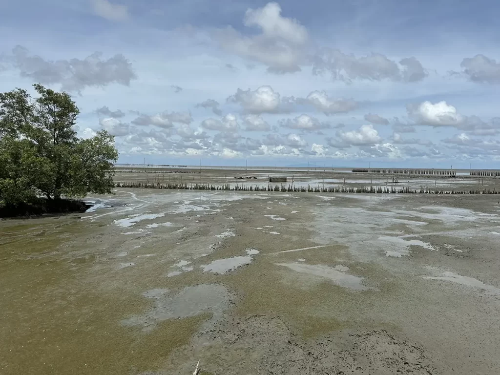 วัดขุนสมุทราวาส (วัดขุนสมุทรจีน)