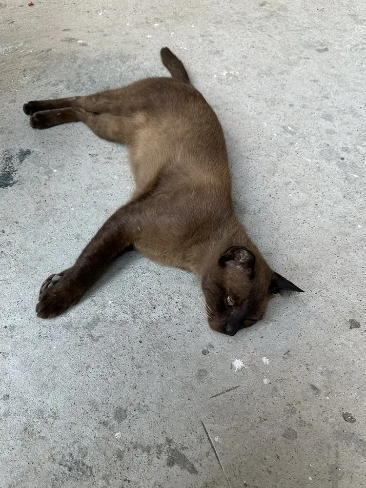 วัดขุนสมุทราวาส (วัดขุนสมุทรจีน)